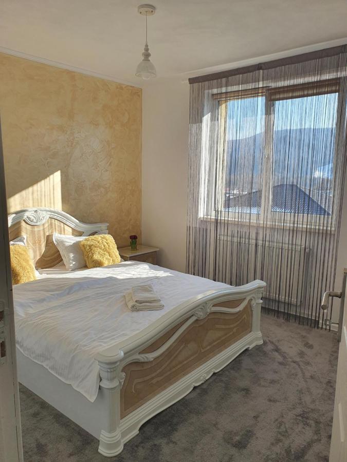 Apartament Tiron In Centru Orasului กูรา ฮูมอรูลุย ภายนอก รูปภาพ